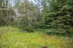 LOT 250 MCGUIRE BEACH ROAD | Kawartha Lakes Ontario | Slide Image Four