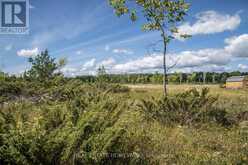 LOT 250 MCGUIRE BEACH ROAD | Kawartha Lakes Ontario | Slide Image One