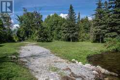 LOT 250 MCGUIRE BEACH ROAD | Kawartha Lakes Ontario | Slide Image Nine