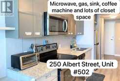 502 - 250 ALBERT STREET E | Waterloo Ontario | Slide Image Five