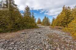 LT 30 BORDEN DRIVE | Northern Bruce Peninsula Ontario | Slide Image Nine