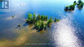 LT 1 ISLAND | Kawartha Lakes Ontario | Slide Image Four