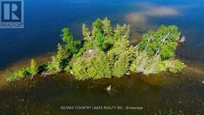 LT 1 ISLAND | Kawartha Lakes Ontario | Slide Image Six
