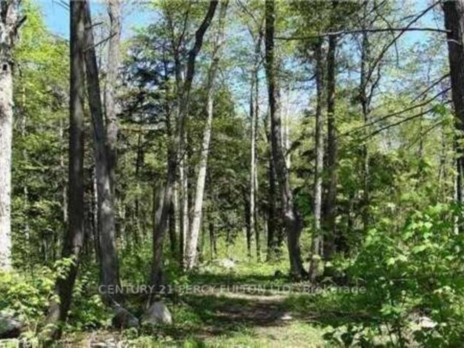 LOT E21 ESCARPMENT NIPPISSING RIDGE ROAD, Tiny, Ontario L9M 0H6