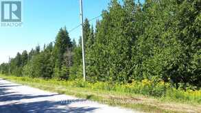 PT LT40 CAPE HU Road | Northern Bruce Peninsula Ontario | Slide Image Three