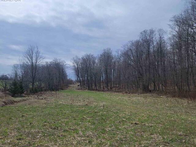 467323 GREY RD 31 Grey Highlands Ontario, N0C 1J0 - Vacant Land For Sale