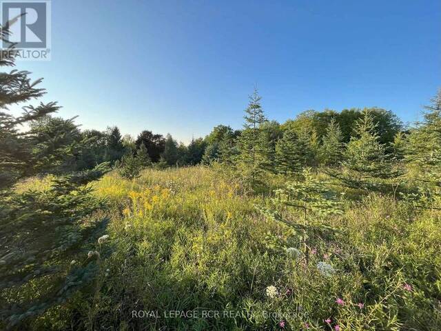 395807 CONCESSION 2 RD Chatsworth Ontario, N0H 1R0