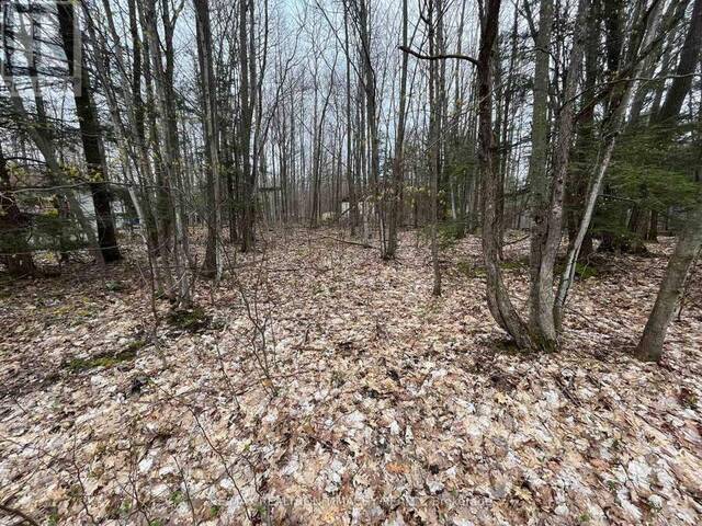 LOT 705 WOLFE TRAIL Tiny Ontario, L9M 1R3