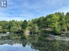 3950 SEVERN RIVER SHORE | Gravenhurst Ontario | Slide Image Two