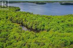 0 GRANDVIEW LAKE ROAD | Lake of Bays Ontario | Slide Image Five