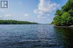 362 HEALEY LAKE | The Archipelago Ontario | Slide Image Thirty-four