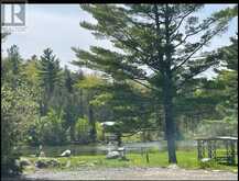 LOT#248 - 248 PINNACLE HILL ROAD | Alnwick/Haldimand Ontario | Slide Image Twelve