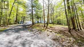 3711 BRUNEL ROAD | Lake of Bays Ontario | Slide Image Two