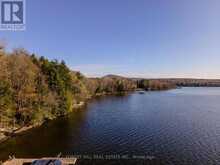 0 MAPLEHURST DRIVE | Lake of Bays Ontario | Slide Image Six