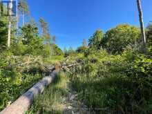 LOT 12 14 CONCESSION ROAD E | Tiny Ontario | Slide Image Seventeen