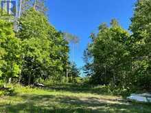 LOT 12 14 CONCESSION ROAD E | Tiny Ontario | Slide Image Nineteen