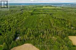 LOT 12 14 CONCESSION ROAD E | Tiny Ontario | Slide Image Five