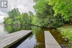 1 SHAW ISLAND | Muskoka Ontario | Slide Image Thirty