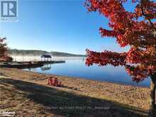 0 TALLY HO WINTER PARK ROAD | Lake of Bays Ontario | Slide Image Twelve