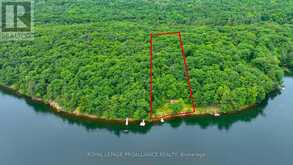 LOT 25 UPPER RIDEAU LAKE | Rideau Lakes Ontario | Slide Image One