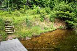 LOT 25 UPPER RIDEAU LAKE | Rideau Lakes Ontario | Slide Image Twenty-six