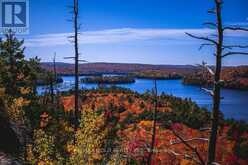 1011 BADGER HILL | Lake of Bays Ontario | Slide Image Twenty