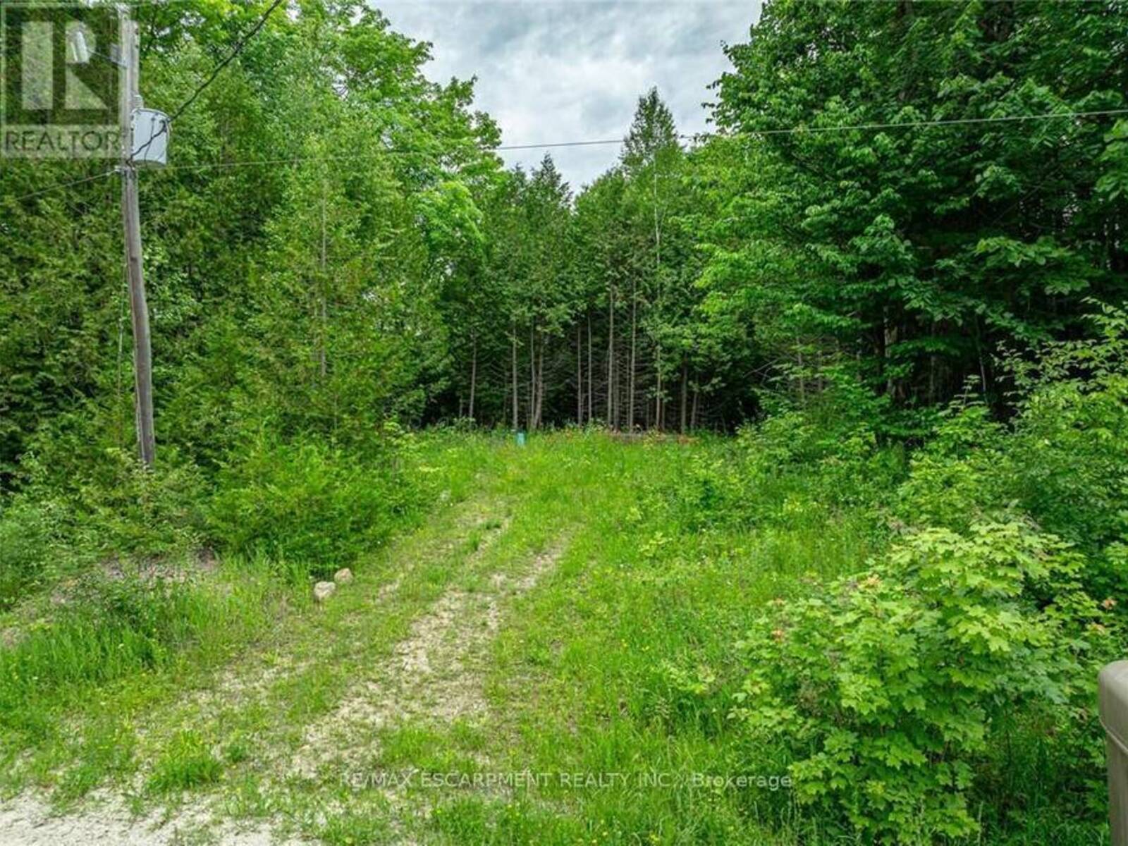 LOT 31 8TH CONCESSION B, Grey Highlands, Ontario N0C 1M0