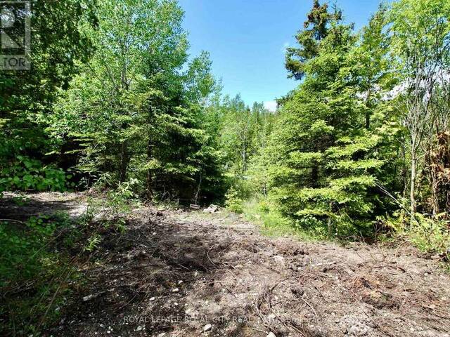 50 HARPUR DRIVE Northern Bruce Peninsula Ontario, N0H 2R0