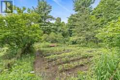 7899 15 SIDE ROAD | Halton Hills Ontario | Slide Image Twenty-six