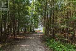 15 CEDAR TRAIL | South Bruce Peninsula Ontario | Slide Image Three