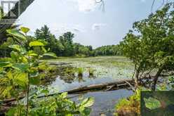 LOT 11 RITZ ROAD | Rideau Lakes Ontario | Slide Image Twenty-six