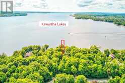 317 RIVERSIDE DRIVE | Kawartha Lakes Ontario | Slide Image One