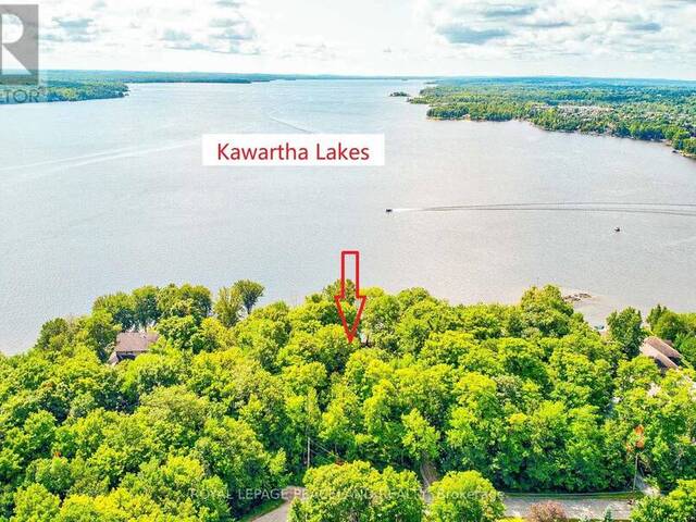 317 RIVERSIDE DRIVE Kawartha Lakes Ontario, K0M 1A0