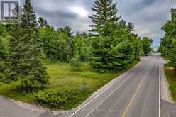 LOT 167 LAFONTAINE ROAD W | Tiny Ontario | Slide Image Two