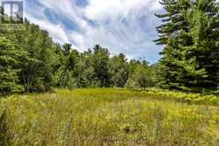 LOT 167 LAFONTAINE ROAD W | Tiny Ontario | Slide Image Three