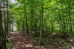 LOT 167 LAFONTAINE ROAD W | Tiny Ontario | Slide Image Seven