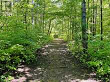 19375 THE MISSISSAUGAS TRAIL | Scugog Ontario | Slide Image Thirty-seven