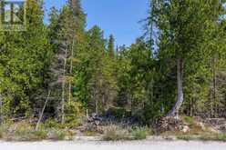 0 HATT STREET | Northern Bruce Peninsula Ontario | Slide Image Eighteen