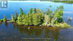 LT 1 ISLAND | Kawartha Lakes Ontario | Slide Image Eleven