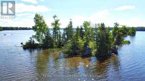 LT 1 ISLAND | Kawartha Lakes Ontario | Slide Image Thirteen