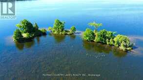 LT 1 ISLAND | Kawartha Lakes Ontario | Slide Image One