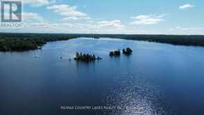 LT 1 ISLAND | Kawartha Lakes Ontario | Slide Image Seven