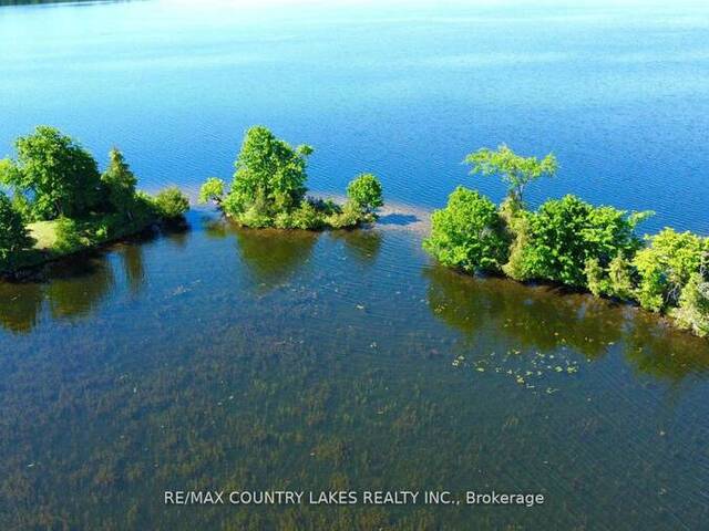 LT 1 ISLAND Kawartha Lakes Ontario, K0M 2B0