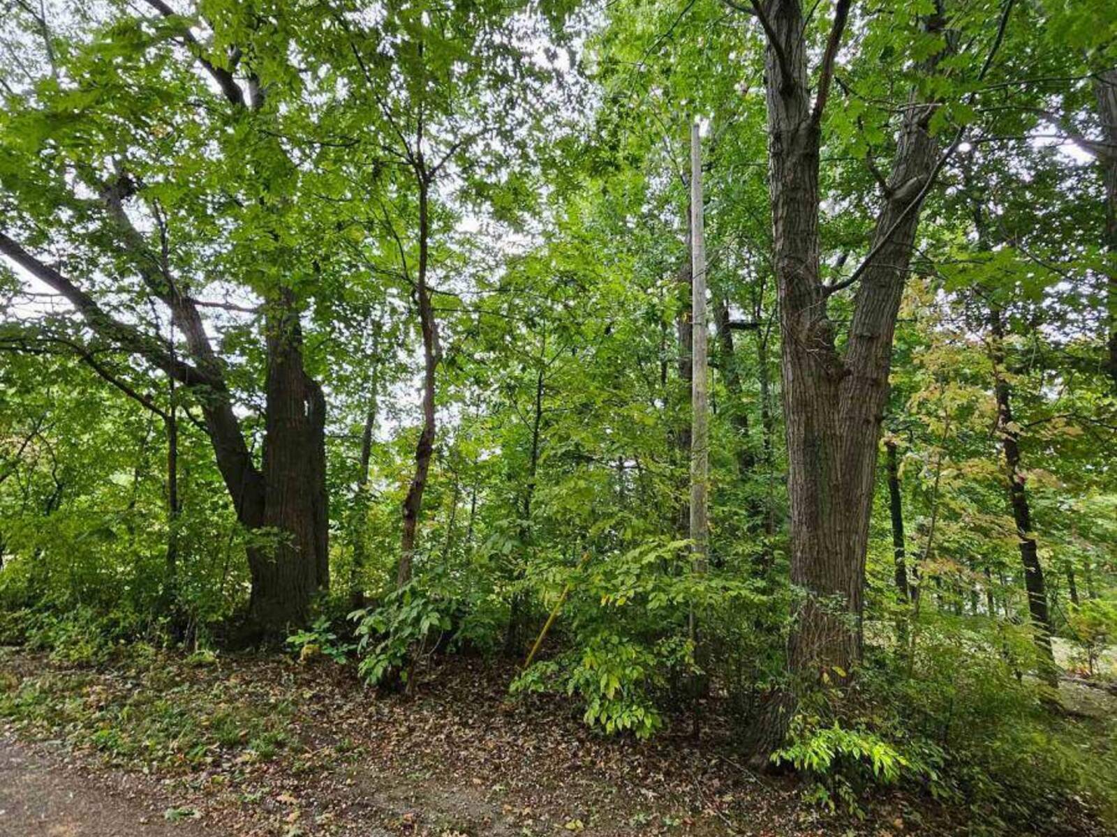 LOT 120 MOHAWK AVENUE, Fort Erie, Ontario L2A 4R5