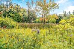 8163 10 SIDE ROAD | Halton Hills Ontario | Slide Image Thirty-nine