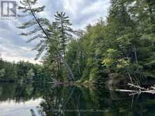 PART 6 - 1760 PURBROOK ROAD | Bracebridge Ontario | Slide Image Two