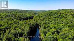 3655 HWY 60 | Algonquin Highlands Ontario | Slide Image Eighteen