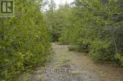 308 IRA LAKE ROAD | Northern Bruce Peninsula Ontario | Slide Image Ten