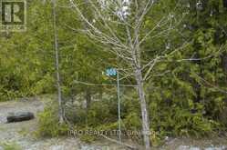 308 IRA LAKE ROAD | Northern Bruce Peninsula Ontario | Slide Image Twelve