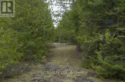 308 IRA LAKE ROAD | Northern Bruce Peninsula Ontario | Slide Image Nine